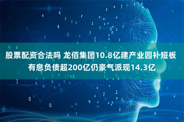 股票配资合法吗 龙佰集团10.8亿建产业园补短板 有息负债超200亿仍豪气派现14.3亿