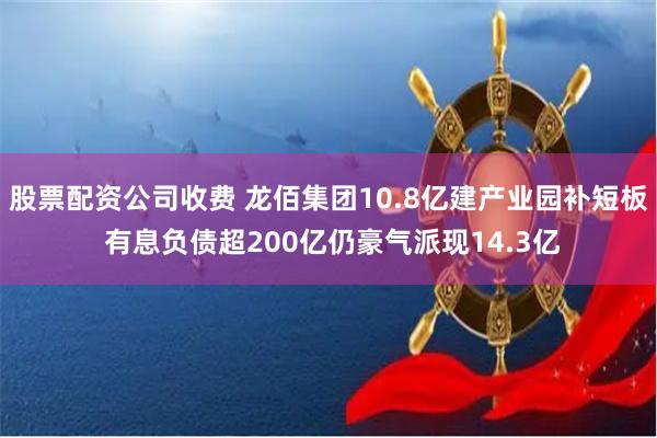 股票配资公司收费 龙佰集团10.8亿建产业园补短板 有息负债超200亿仍豪气派现14.3亿